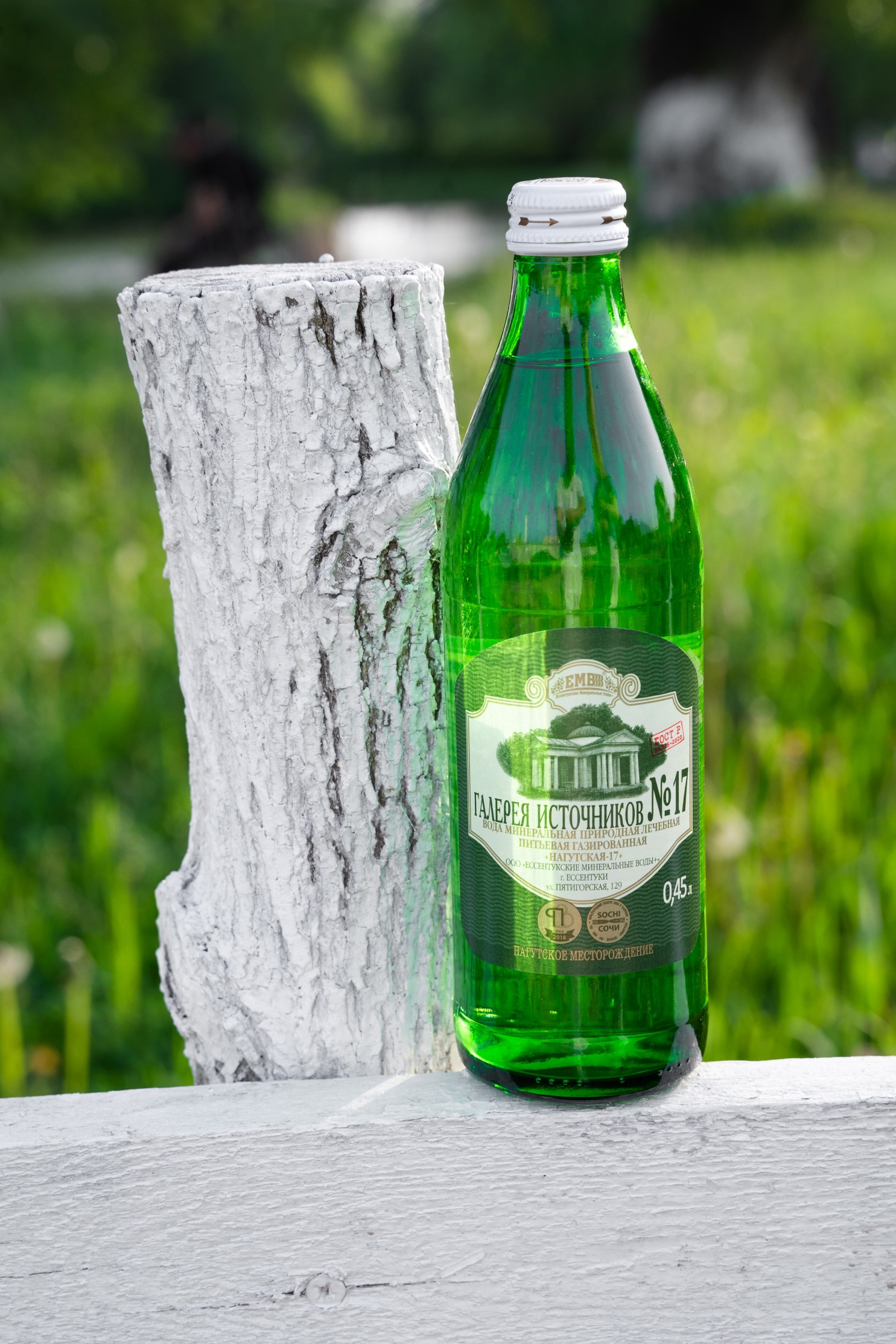 Mineral water TM �Gallery of sources �17�